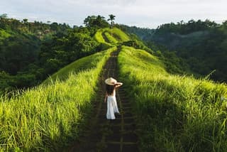 Ubud Countryside Tour: Campuhan Ridge Walk and Rice Terrace