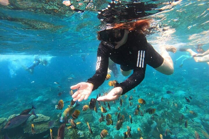Snorkeling at Blue Lagoon & Tanjung Jepun All Inclusive — photo 1 of 16