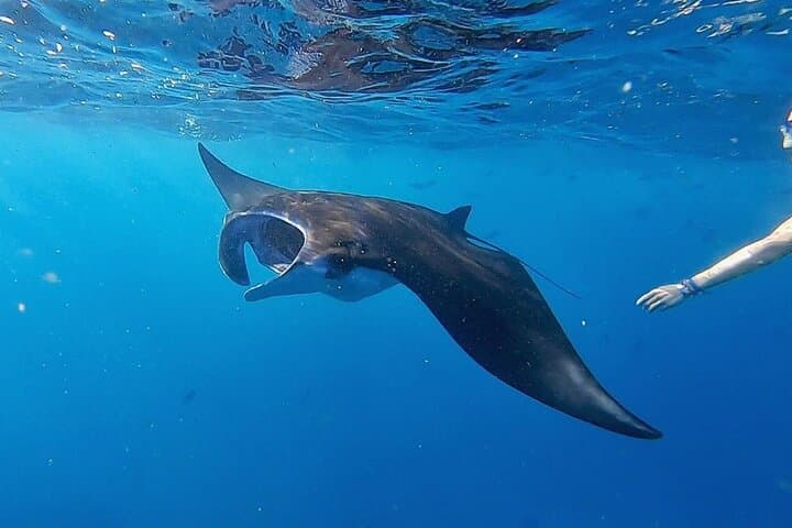 Day Tour and Snorkeling With Manta Rays to Lembongan From Bali — photo 1 of 12