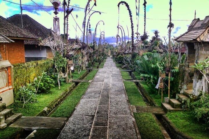 Bali Ubud and Kintamani Sightseeing Tour — photo 1 of 15
