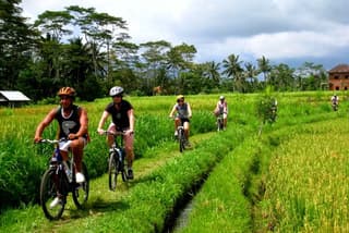 Private Bali Ubud Cycling