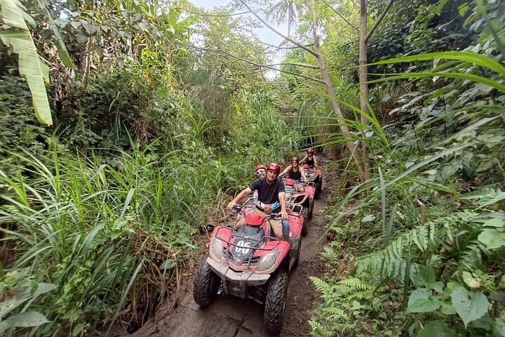 Challenging ATV Quad Bike in Ubud Bali — photo 1 of 3