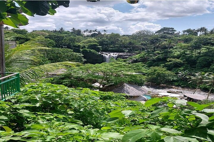Full Day Ubud Tour — photo 1 of 7