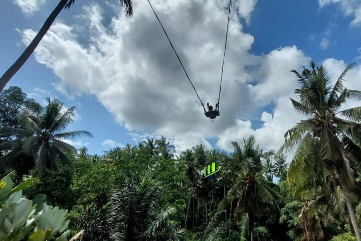 Private Full-Day Tour with Bali Swing and Water Rafting in Ubud — photo 1 of 11