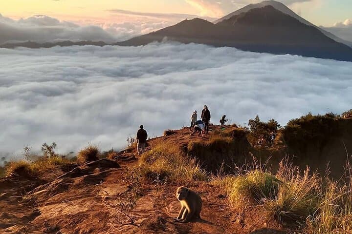Mount Batur Hiking With Terraced paddy Field Visit — photo 1 of 14