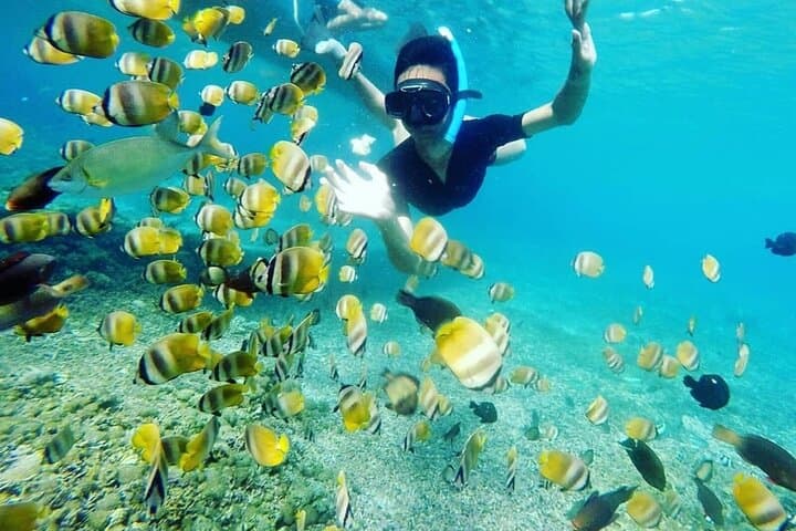 Private Bali Snorkling at blue lagoon — photo 1 of 39