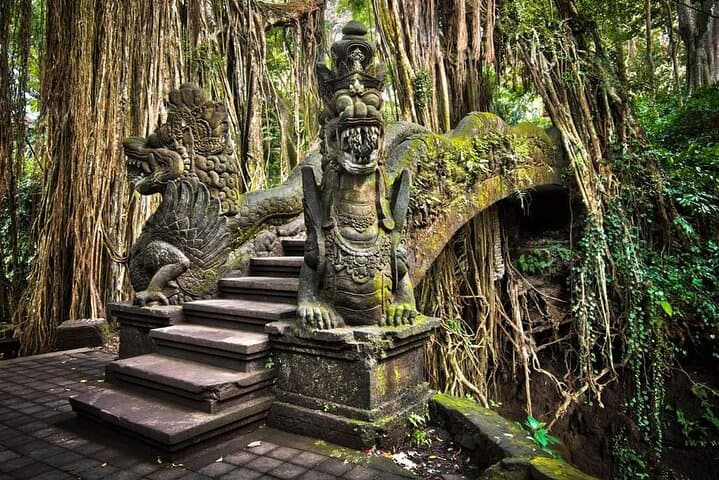 Bali Ubud Tour: Monkey Forest, Waterfall & Rice Terrace — photo 1 of 8