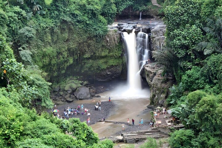 Ubud and Waterfall Half Day Tour Packages — photo 1 of 12