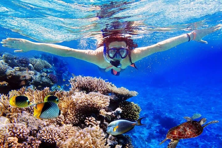 Blue Lagoon & Tanjung Jepun Snorkeling Private Tour — photo 1 of 8