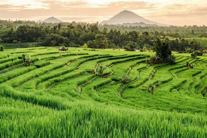 Bali 3 Days Private Tour-Bali Highlight — photo 1 of 21