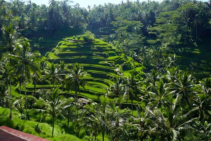 Private Full-Day Tour: Explore The Villages Of Ubud Bali — photo 1 of 12