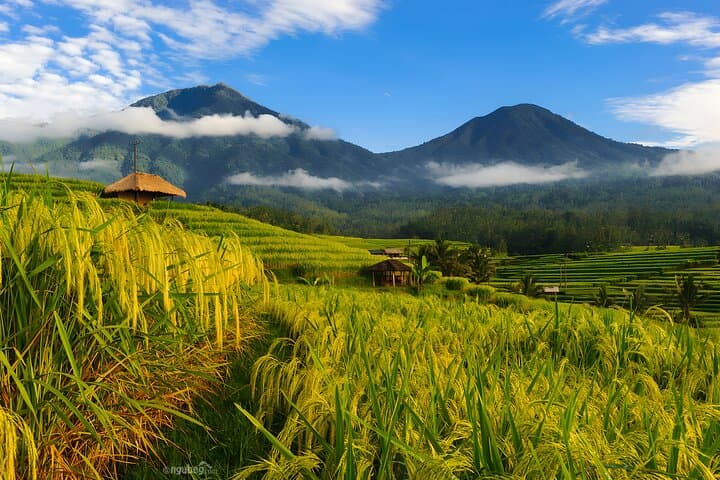 Bali Tour: Lake, Iconic Gate, Temple, Hot Spring and Rice Terrace — photo 1 of 11