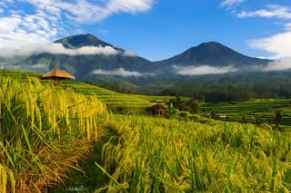 Bali Tour: Lake, Iconic Gate, Temple, Hot Spring and Rice Terrace