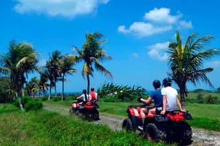 Bali Quad Bike Adventure and Ubud Full Day Tour Packages
