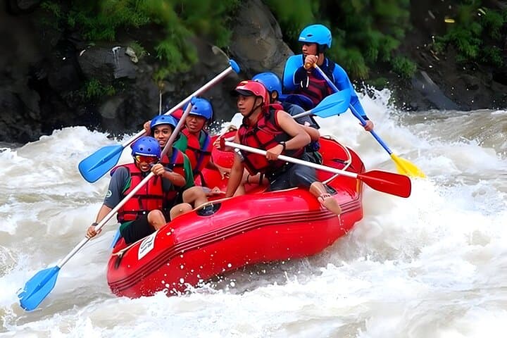 Ayung River Rafting and Ulun Danu Temple - Tanah Lot Temple Tour — photo 1 of 10