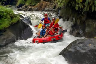 Bali River Rafting and Ubud Full-Day Sightseeing Tour