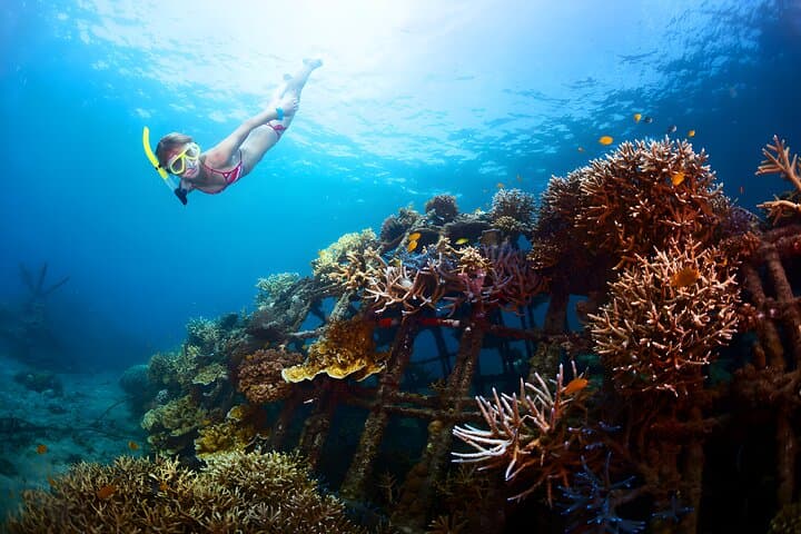 Blue Lagoon Snorkeling and Uluwatu Sunset Tour — photo 1 of 11