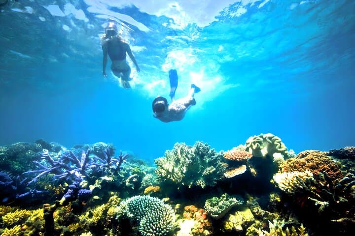 Blue Lagoon Snorkeling and Ubud Waterfall Tour — photo 1 of 10