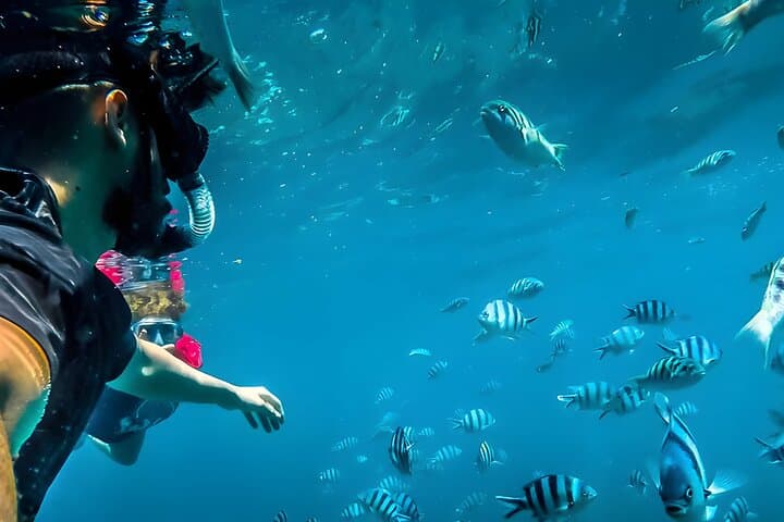 Blue Lagoon Snorkeling - All Inclusive — photo 1 of 9