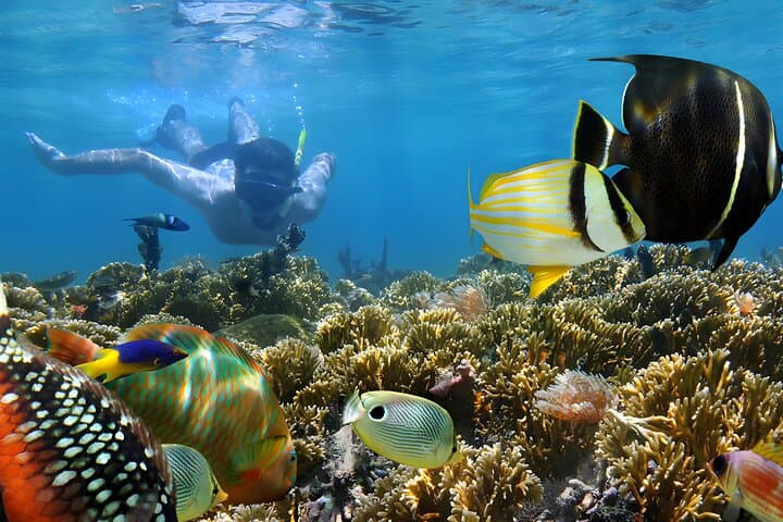 Snorkeling in Blue Lagoon Padang Bai Bali : Snorkel in the clear blue waters — photo 1 of 9