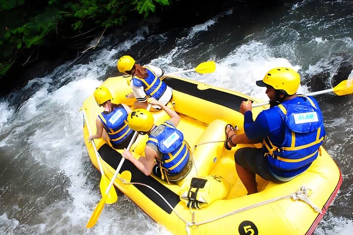 The Complete Bali Nature & Adventure Tour: Rafting & Waterfalls — photo 1 of 10