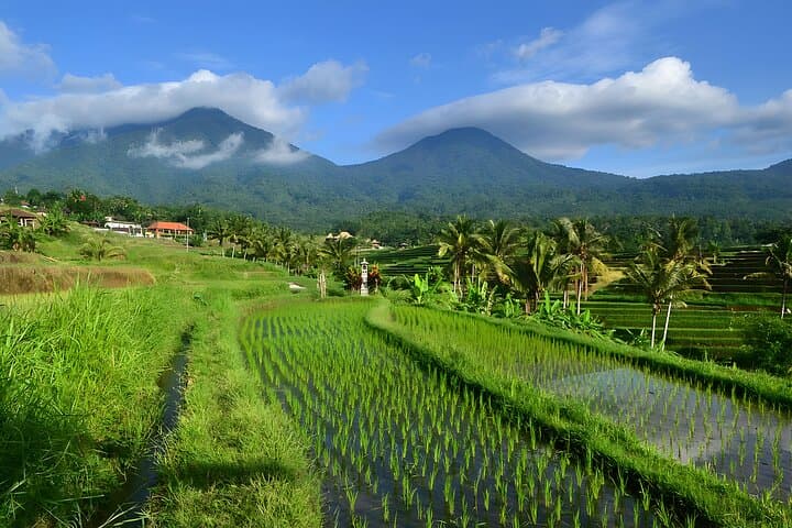 UNESCO Jatiluwih Rice Terrace and Tanah Lot Sunset Tour — photo 1 of 12