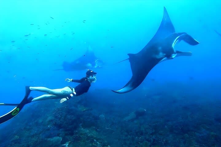 West Nusa Penida Island Snorkeling Tour - From Bali Island — photo 1 of 12