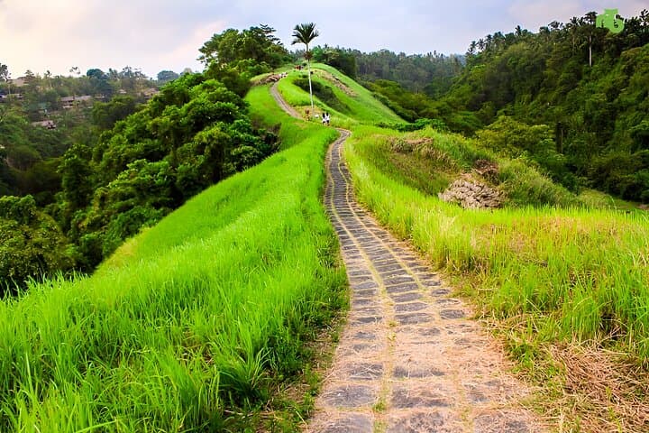 Bali Full Day-Tour: Ubud Sightseeing Trip — photo 1 of 14