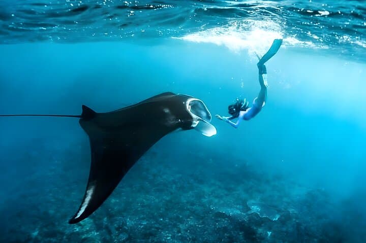 Manta Bay Snorkeling and Nusa Penida Island Tour — photo 1 of 12