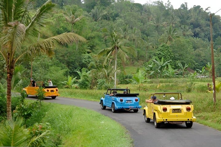VW Safari Bali Tour - A unique way to explore Ubud culture — photo 1 of 15