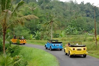 VW Safari Bali Tour - A unique way to explore Ubud culture