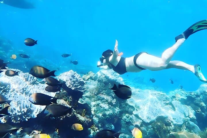 East Nusa Penida Island Snorkeling Tour - From Bali Island — photo 1 of 11