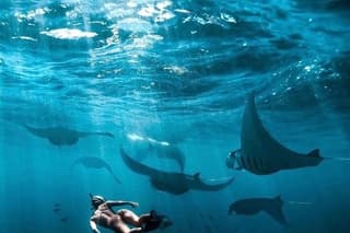 Private One Day East and West Tour with Snorkeling in Nusa Penida