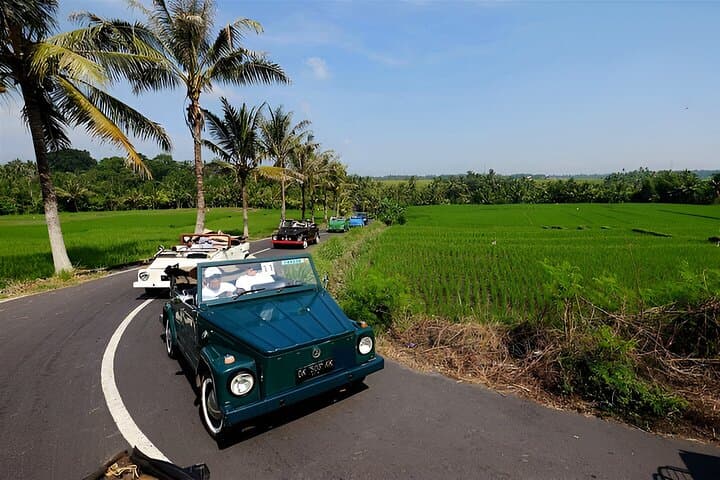 Ubud VW Safari Bali Tour - Volkswagen Classic Car Trip — photo 1 of 14