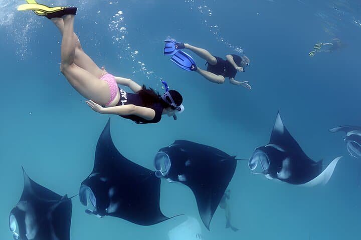 Bali Full-Day Tour to Exploring Nusa Penida Island with Snorkeling From Bali — photo 1 of 13