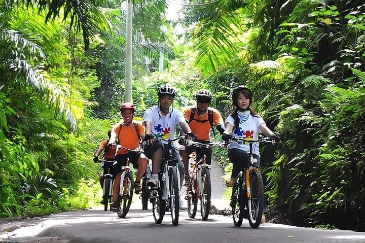 Bali Cycling and Ubud Waterfall Tour — photo 1 of 11