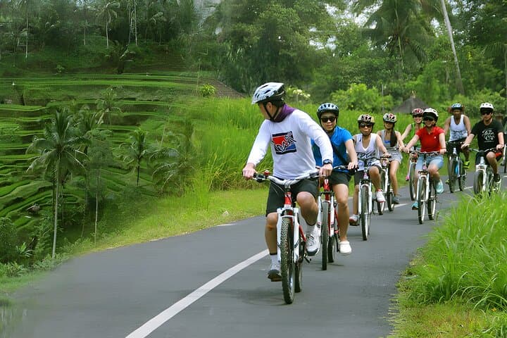 Bali Cycling and Exploring Ubud, Temple, Waterfall Tour — photo 1 of 12