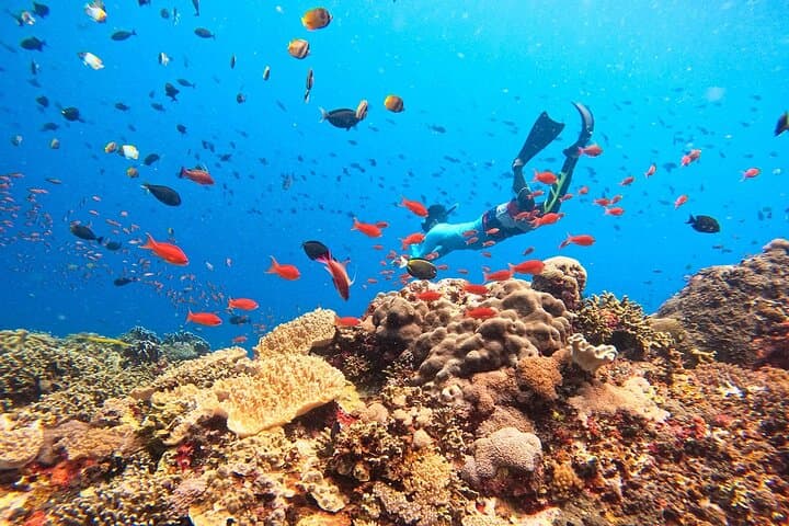 Lembongan Snorkeling Swim With Manta Rays and Island Tour — photo 1 of 8