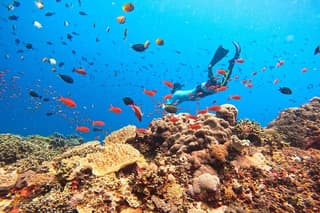 Lembongan Snorkeling Swim With Manta Rays and Island Tour