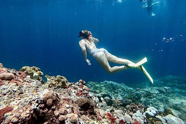 Swim with Manta Rays: Snorkeling Day Trip from Bali — photo 1 of 5