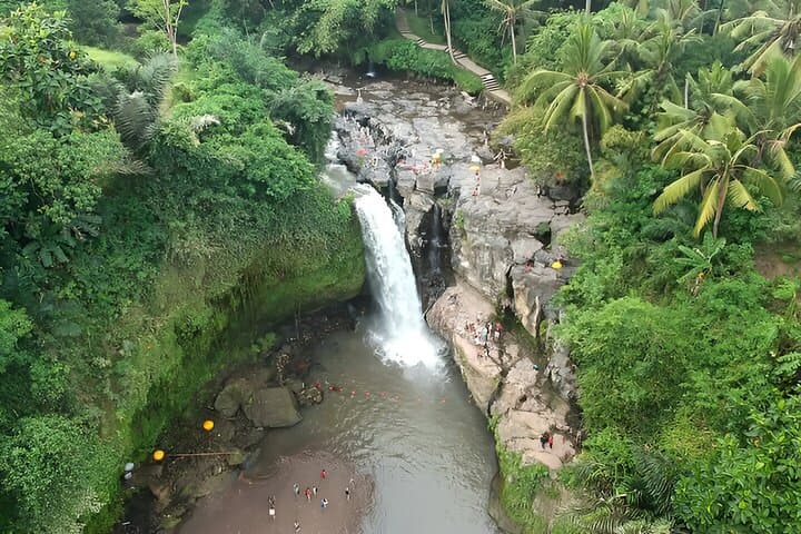 Full-Day Bali Tour to Visit The Best Places in Ubud — photo 1 of 12