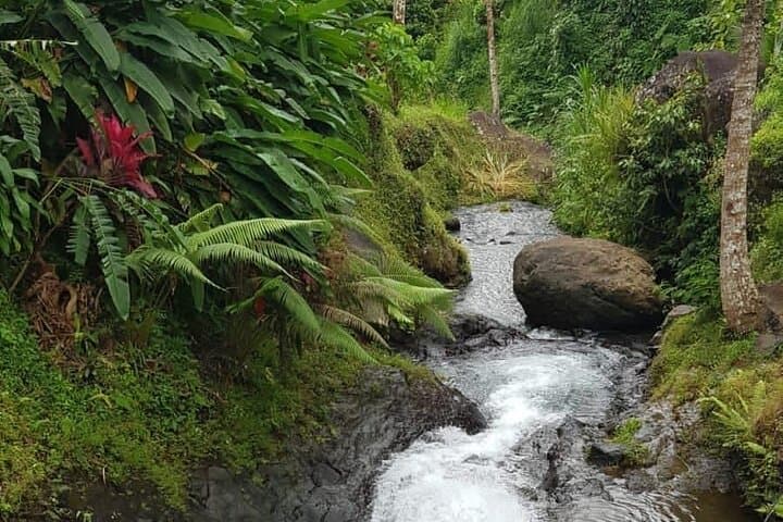 Full Day Private Tour in North Bali — photo 1 of 5