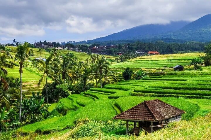 Jatiluwih UNESCO Rice Terraces: Self-Guided Walk — photo 1 of 6