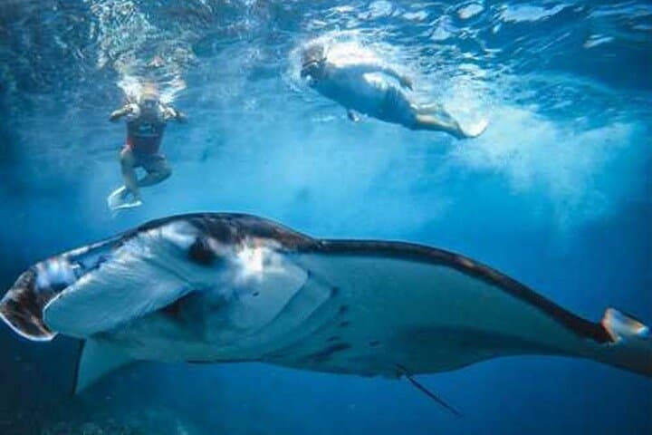 Bali Nusa Penida 4 Spots Snorkeling and West Island Tour — photo 1 of 5