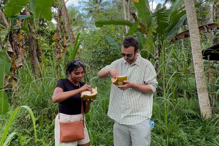 walking and explore taro village in North Ubud — photo 1 of 35