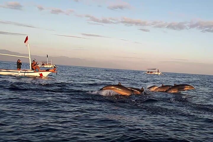 Lovina Sunrise Dolphin with option snorkeling and waterfall — photo 1 of 6