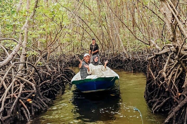 Mangrove Forest by Boat, Kayaking, Stand Up Paddle at Lembongan — photo 1 of 9