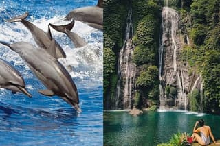 Bali Swim with Dolphins & Watching Sunrise, Gitgit Waterfall