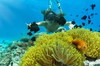 Blue lagoon Snorkeling private tour