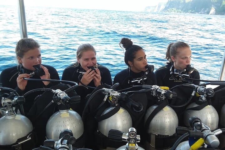 Try Scuba Diving for Beginners with manta rays (Non - Certified) — photo 1 of 13